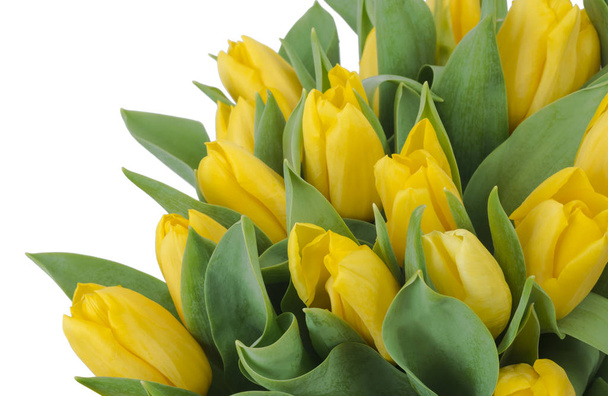 Bouquet of yellow tulips, copy space. Spring fresh flowers,  mockup for mothers day, valentine or wedding greeting card - Foto, immagini