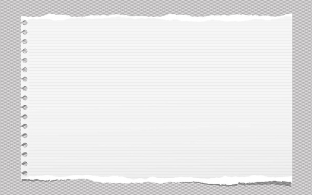Gescheurde bekleed witte opmerking, notebookpapier strips voor tekst geplakt op grijze vierkante achtergrond. - Vector, afbeelding