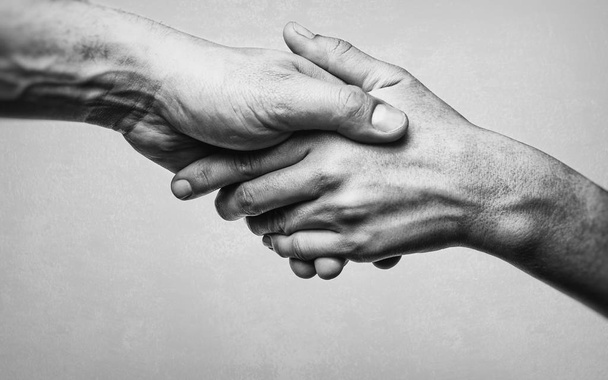 A firm handshake between two partners. Black and white image on white  background. - Photo, Image