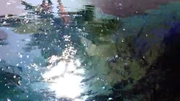 Los reflejos de las palmeras en el agua
 - Imágenes, Vídeo