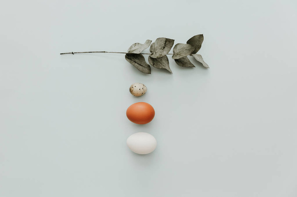 Flat lay minimal composition with eggs on pastel background  - Фото, изображение