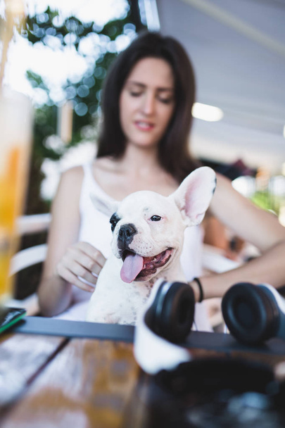 Beautiful young woman sitting in cafe with her adorable French bulldog puppy. People with dogs theme - Foto, Bild