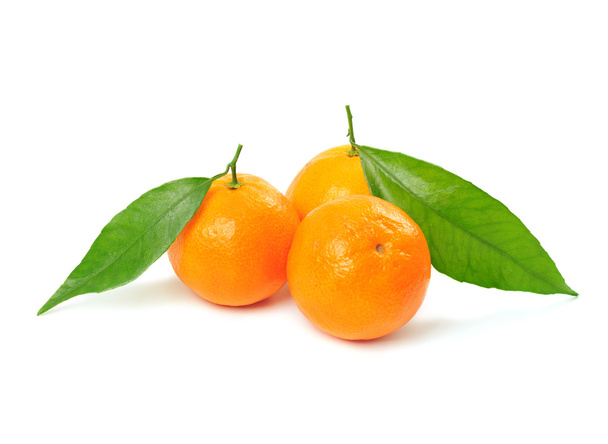 Mandarine isoliert - Foto, Bild
