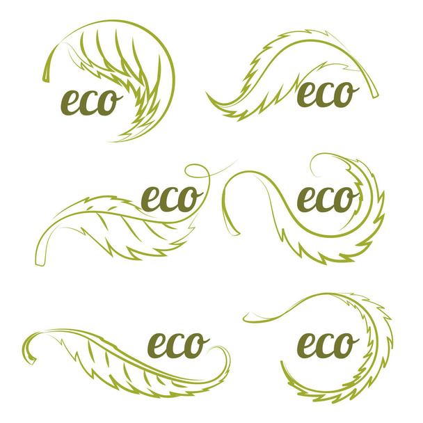  Логотип с зеленым листом
 - Вектор,изображение