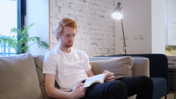 Pień Penisve człowiek czytając książkę, siedząc na kanapie - Materiał filmowy, wideo