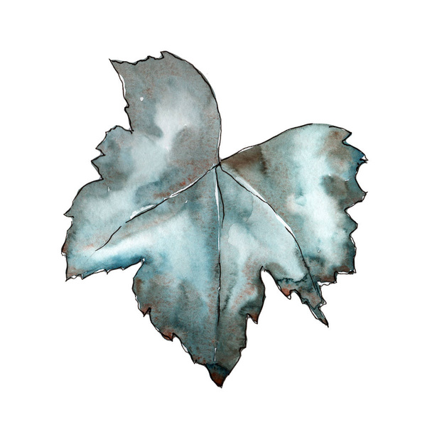 Bessen bladeren in een aquarel stijl geïsoleerd. - Foto, afbeelding