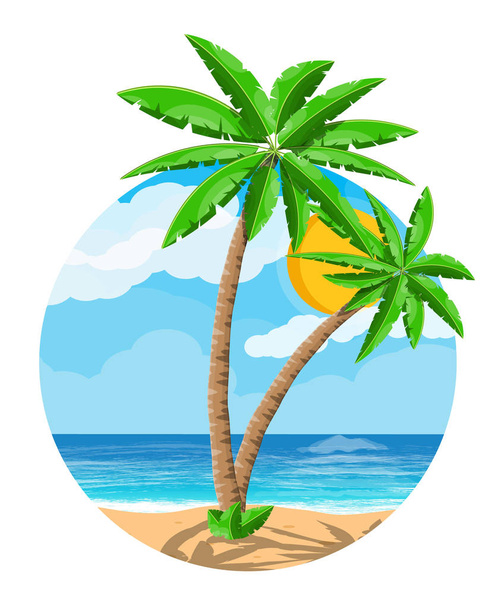 Landscape of palm tree on beach - Вектор,изображение