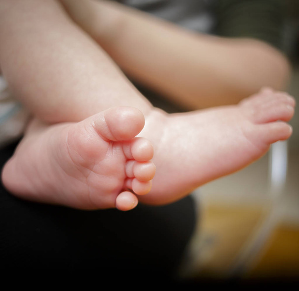 Feet of newborn baby in the hand of mother - 写真・画像