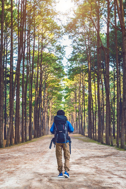 hiking man with backpack walking in forest. - Фото, изображение