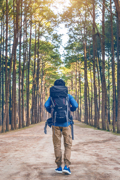 пішохідний чоловік з рюкзаком, що йде в лісі
. - Фото, зображення