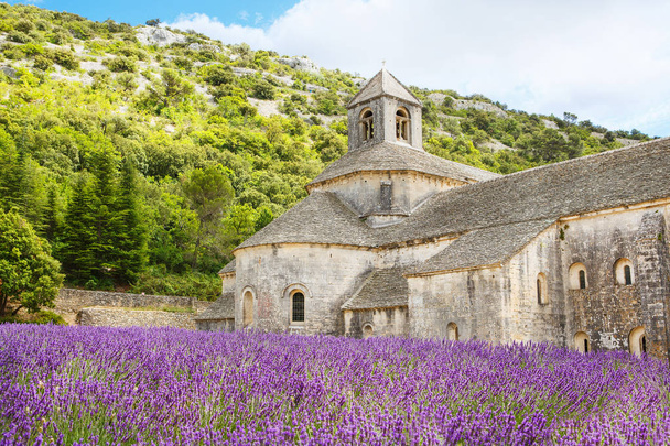 Abbey of Senanque and blooming rows lavender flowers - Fotografie, Obrázek