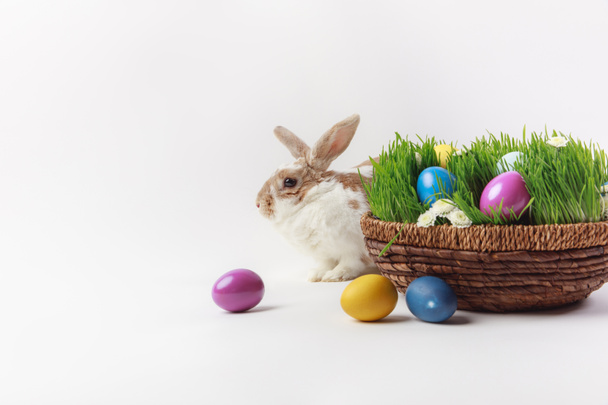 Wielkanoc - Zdjęcie, obraz
