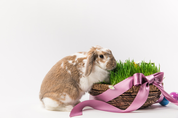Rabbit near basket with grass bound by pink ribbon, easter concept - Φωτογραφία, εικόνα