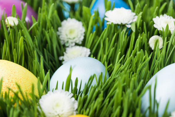 Easter - Fotó, kép