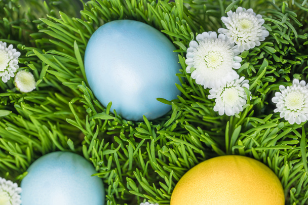 Tres huevos de Pascua pintados en el césped con manzanillas, concepto de Pascua
 - Foto, Imagen
