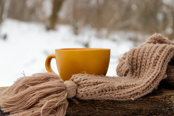 Taza de café y bufanda de punto acogedor en el fondo del bosque de invierno
 - Foto, Imagen