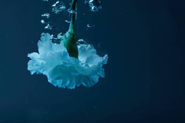 close up view of carnation flower with bubbles in water - Foto, afbeelding