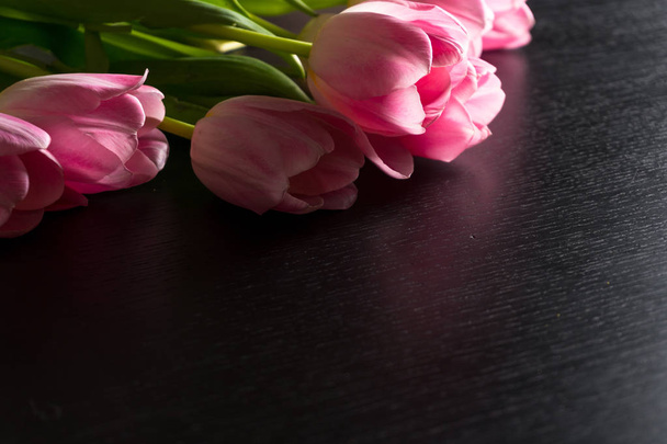 明るいピンクのチューリップからボーダー花黒の木製の比較 - 写真・画像