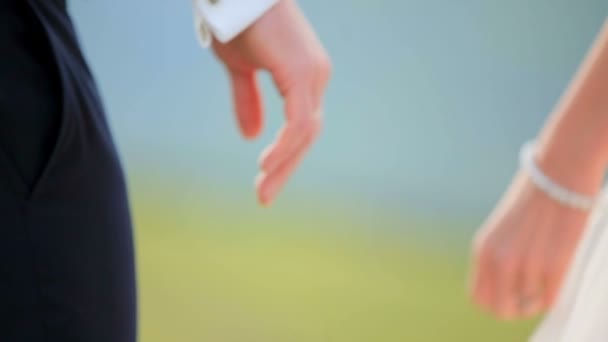 Νεόνυμφο ζευγάρι κρατιέται χέρι χέρι - Πλάνα, βίντεο