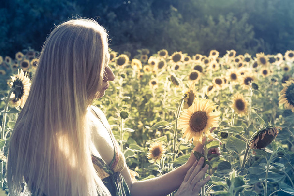 Beauty sunlit woman on yellow sunflower field Freedom and happiness concept - Foto, Imagen