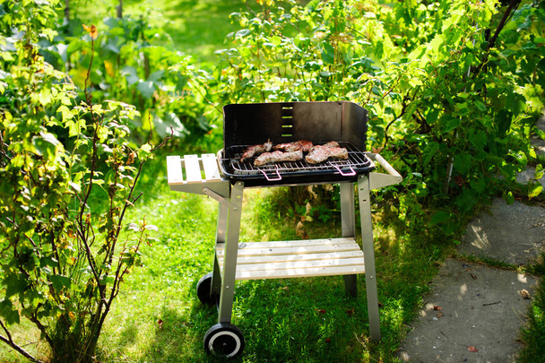 Barbecue grill with various kinds of meat outdoor - Fotoğraf, Görsel
