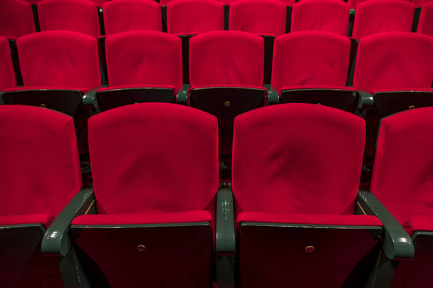 Red seats in a empty theater and opera. - Photo, Image