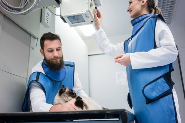 Ветеринари в рентгенівській кімнаті
   - Фото, зображення