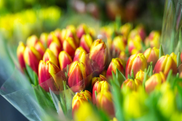 Lot of multicolored tulips bouquets. Flower market or store. Wholesale and retail flower shop.  Florist service. Woman day - Foto, Imagem