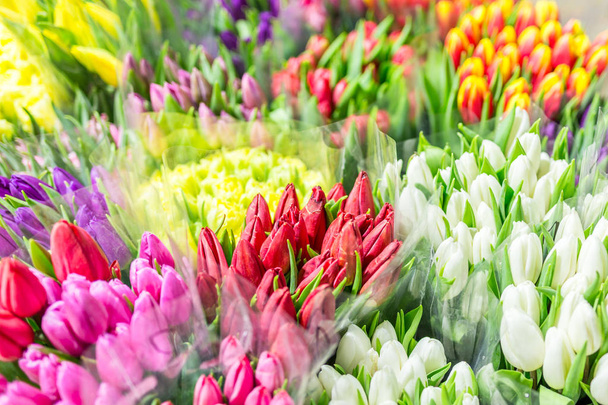 Beautiful multicolored flower bouquets. Various fresh tulips at flower shop. Wholesale or retail flower store. Plant warehouse. Florist agency. Growing and cultivation of flowers - Фото, изображение