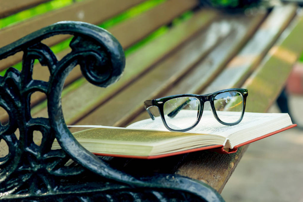 un libro aperto e bicchieri si trovano sul bordo di una panchina nel parco
 - Foto, immagini