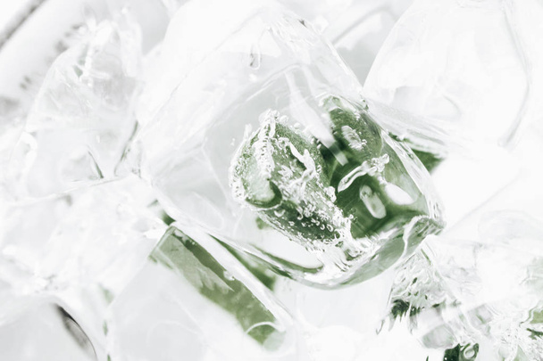 buz küpleri içinde closeup donmuş aloe ile  - Fotoğraf, Görsel