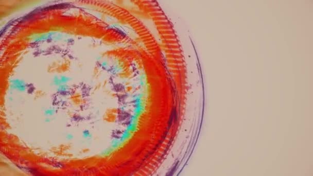 Bewegende rotierende abstrakte Malerei Regenbogen nahtlose Schleife Backgrond Animation neue Qualität künstlerische Retro Vintage freudig bunt dynamisch universell cool schön Videomaterial - Filmmaterial, Video
