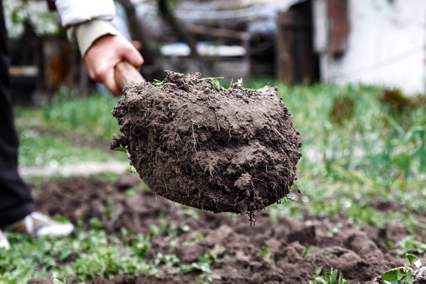 A woman's hand digs soil and soil with a shovel. Close-up, Conce - Photo, Image