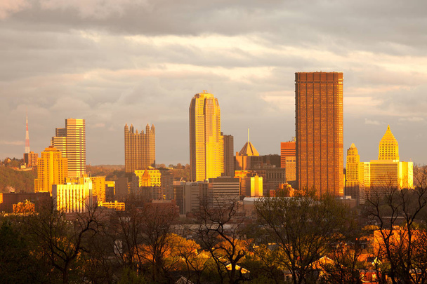 Pittsburgh skyline from Oakland neighborhood, Pennsylvania, USA - Photo, Image