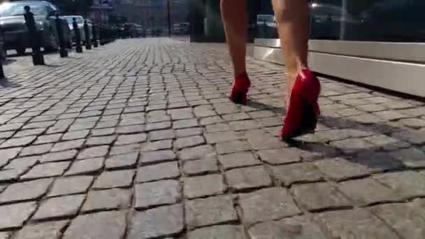 Slimme zakelijke vrouw voeten sluiten gewas lopen te werken invoeren glas corporate gebouw dragen hoge hakken stedelijke stad woon concept - Video