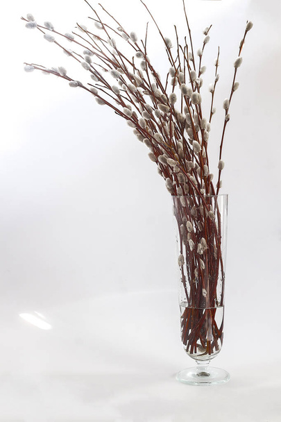 větve vrby nádherná kytice ve váze na bílém pozadí - Fotografie, Obrázek