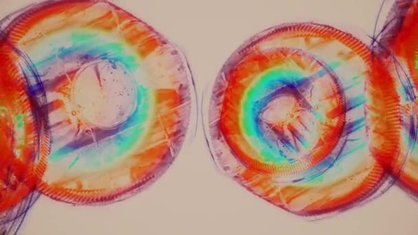 liikkuvat pyörivä abstrakti maalaus sateenkaari saumaton silmukka backgrond animaatio uusi laatu taiteellinen retro vintage iloinen värikäs dynaaminen universaali cool mukava video kuvamateriaalia
 - Materiaali, video