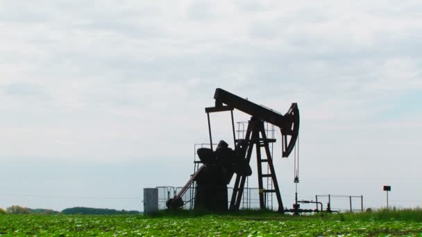 Estación productora de petróleo en un claro verde
 - Metraje, vídeo