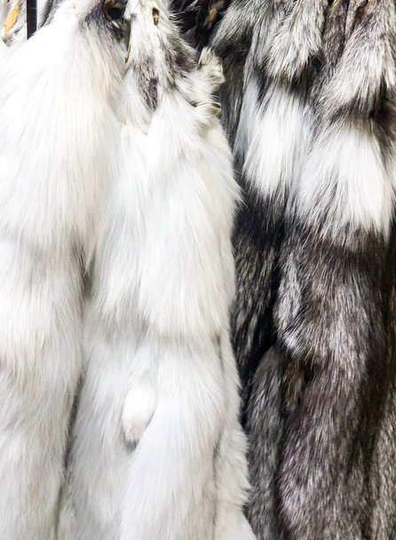 Gros plan du marbre noir et des fourrures sombres de renard arctique
 - Photo, image