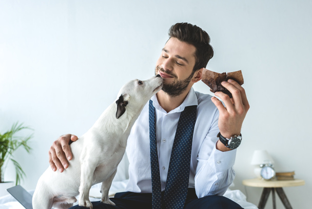 businessman eating muffin and sitting on bed with jack russell terrier - 写真・画像
