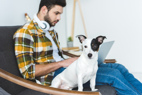 pohledný muž přenosném počítači při sezení na pohovce se psem - Fotografie, Obrázek