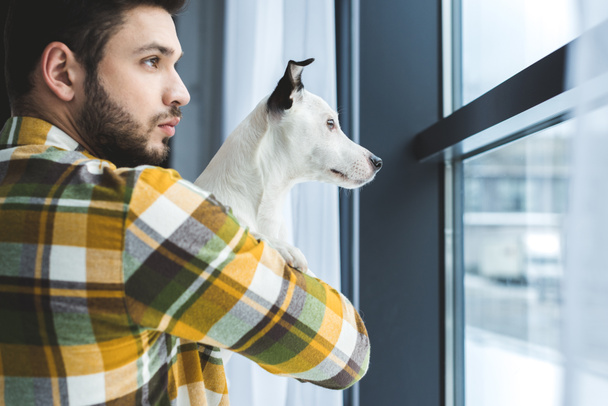 uomo barbuto che tiene jack russell terrier cane e guardando la finestra
 - Foto, immagini