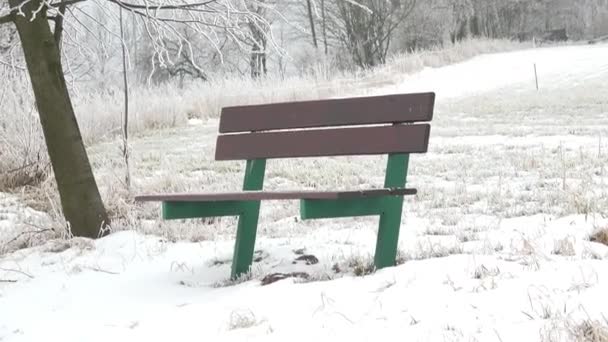 Bankje in de sneeuw in de winterlandschap. Mistige winter scène en groen bankje. - Video