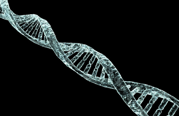 DNA - Fotoğraf, Görsel