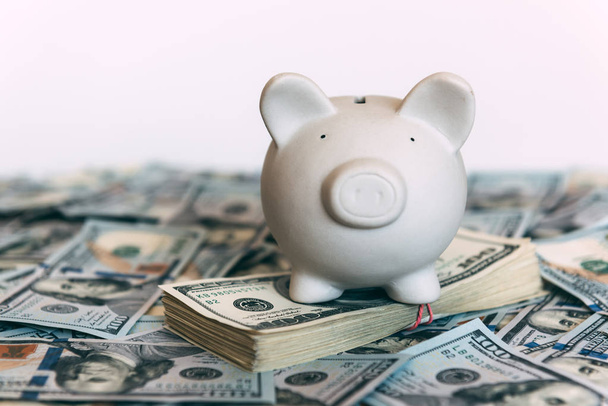 Piggy moneybox with dollar cash - Foto, imagen