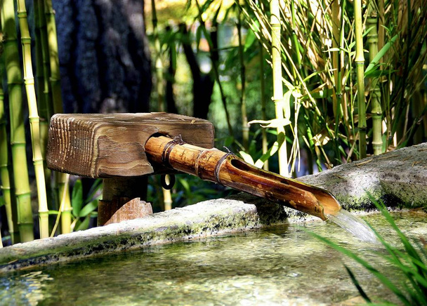 Jet d’eau dans une fontaine de bambou - Photo, image