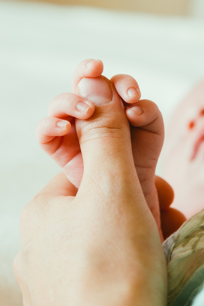 Newborn baby hand holding a parent fingers - Fotoğraf, Görsel