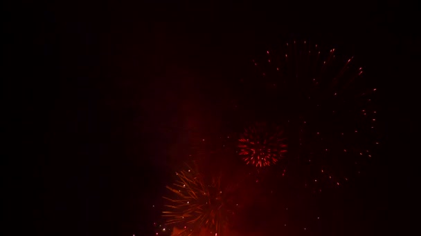 Explosionen von Feuerwerkskörpern am schwarzen Himmel - Filmmaterial, Video