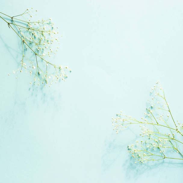 Blue background with twigs gypsophila in the corners. Workpiece for text. Copyspase - Foto, Imagem