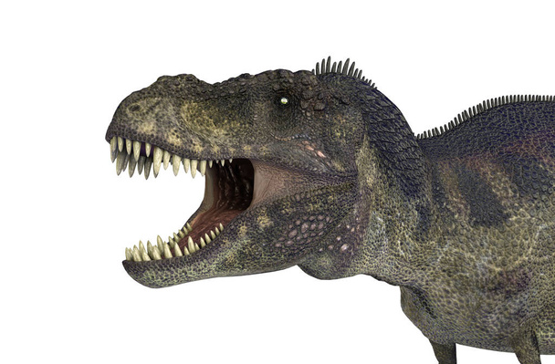 ilustracja 3D z dinozaurów Tyrannosaurus Rex na białym tle - Zdjęcie, obraz
